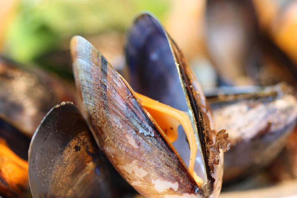 Oyster Inn Connel أوبان المظهر الخارجي الصورة
